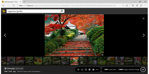 Bing Image Search updated, more features added