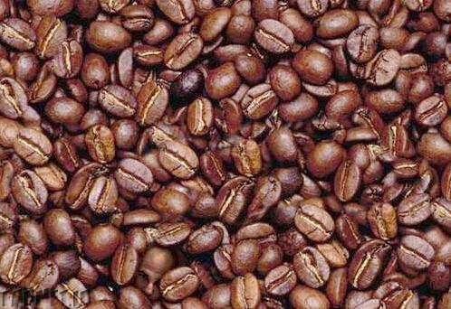 364287-coffee-bean-illusion