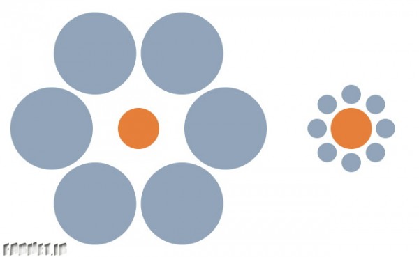 364309-which-orange-circle-is-bigger