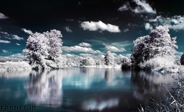2-10-Infrared-Photography