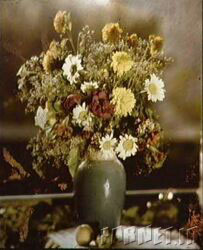 عکس گل‌های Lippman که در سال‌های 1890 گرفته شد