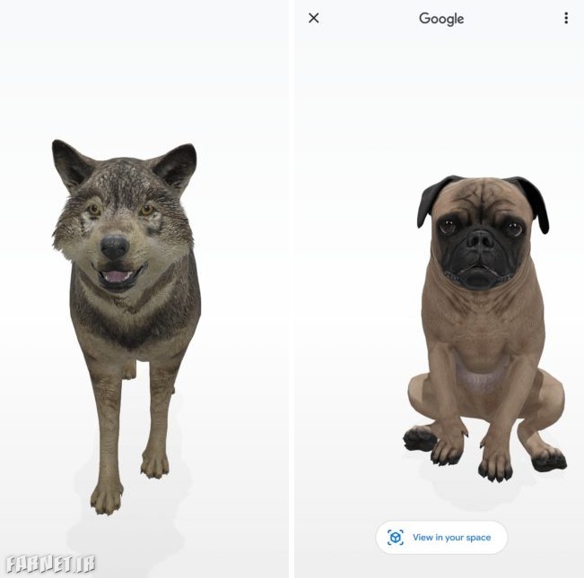 حیوانات سه بعدی گوگل