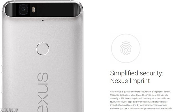 Google-Nexus-6P (5)