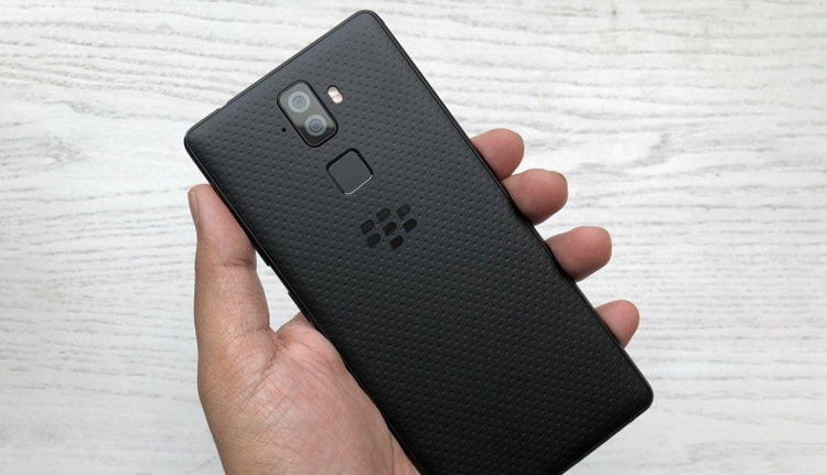 blackberry Evolve