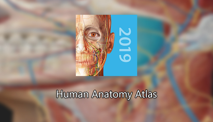 Human Anatomy Atlas