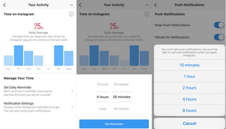 Your Activity